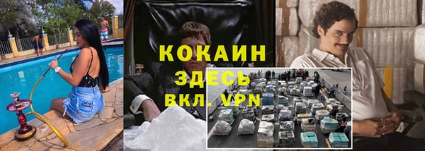 стаф Михайлов