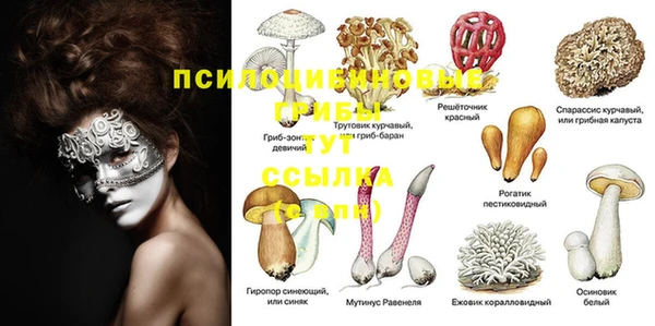 кокаин Медвежьегорск