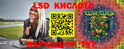ПСИЛОЦИБИНОВЫЕ ГРИБЫ Кимры