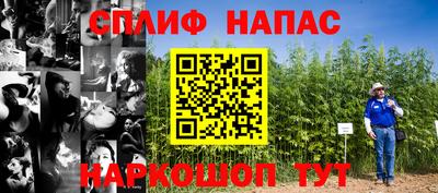 ПСИЛОЦИБИНОВЫЕ ГРИБЫ Кимры