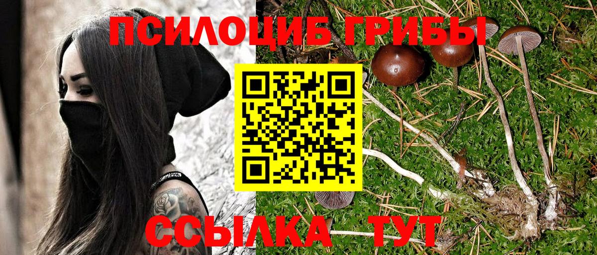 купить   Вход с VPN  Старый Оскол  Галлюциногенные грибы ЛСД 